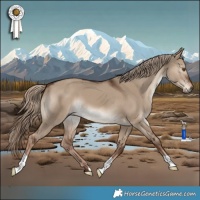 Horse Color:Liver Red Dun