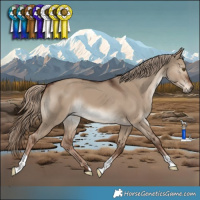 Horse Color:Liver Red Dun 