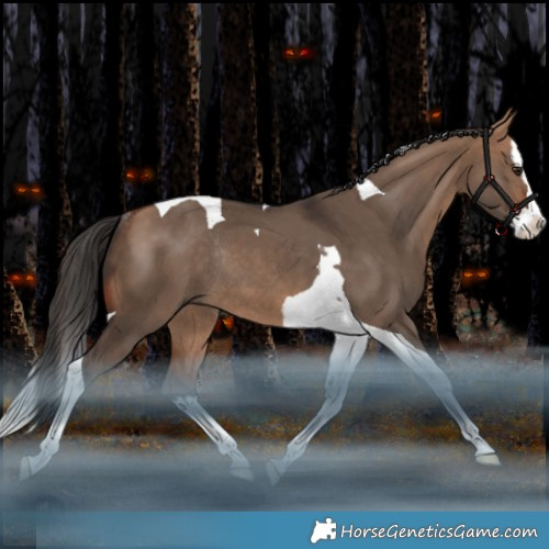 Horse Color:Bay Dun Splash Tobiano Rabicano