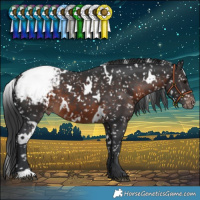 Horse Color:White Spotted Brown Snowcap 
