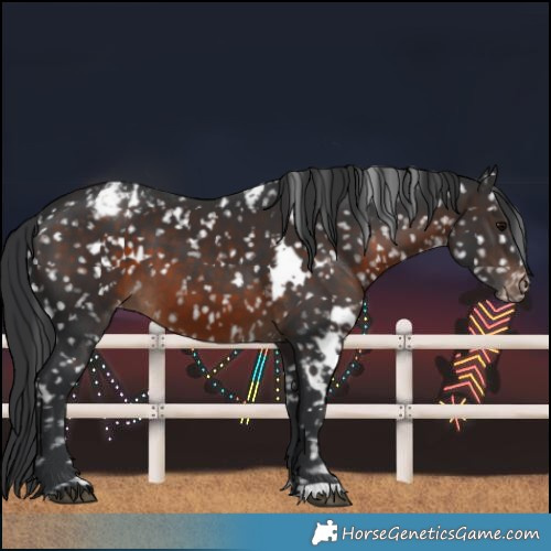 Horse Color:White Spotted Brown Snowflake Varnish