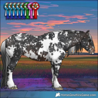 Horse Color:White Spotted Brown Snowflake Varnish