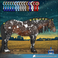 Horse Color:White Spotted Brown Snowflake Varnish
