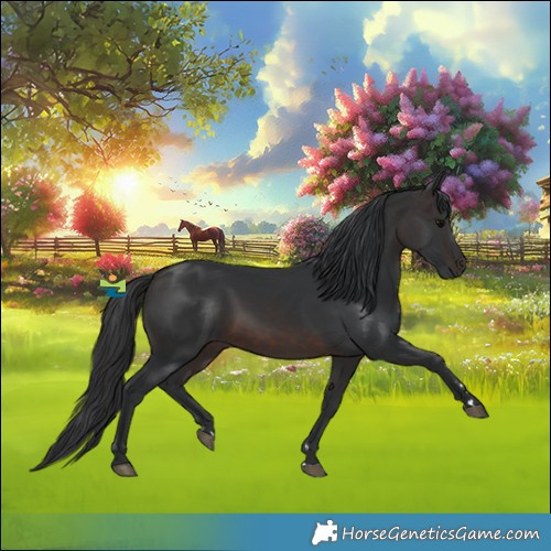 Horse Color:Brown 