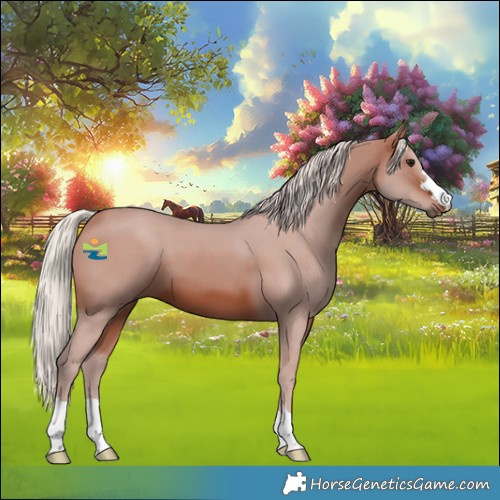 Horse Color:Silver Brown 