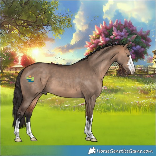 Horse Color:Bay Dun 