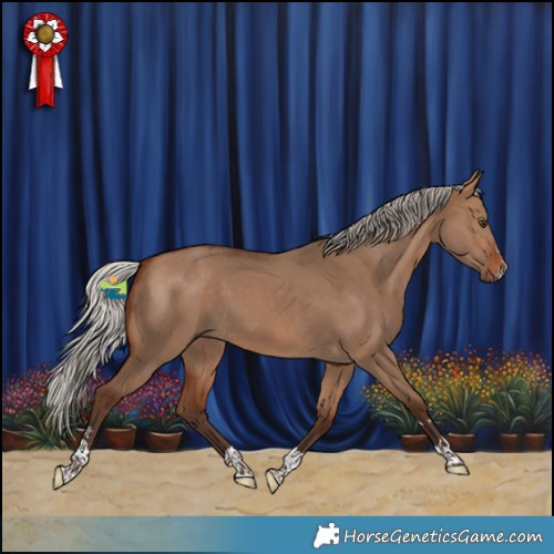 Horse Color:Silver Brown Dun 