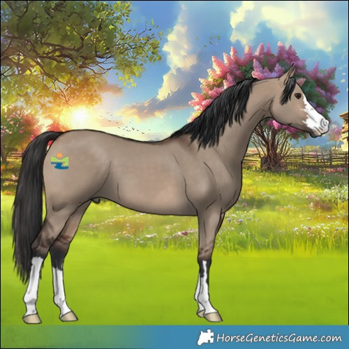 Horse Color:Brown Dun 