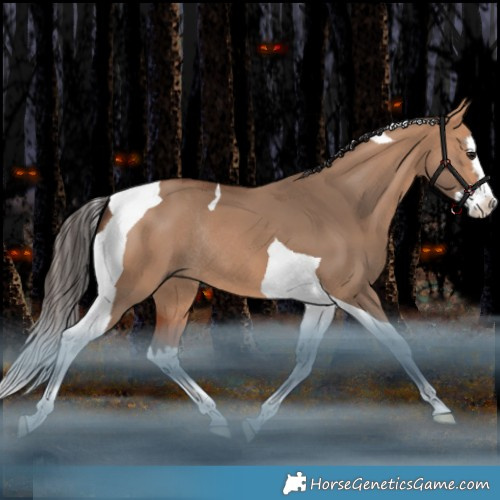 Horse Color:Bay Dun Splash Tobiano Rabicano