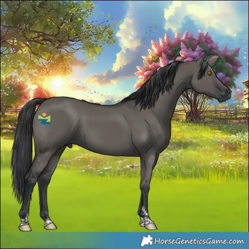 Horse Color:Grullo