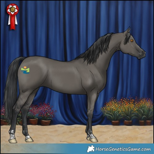 Horse Color:Grullo 