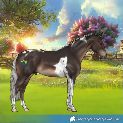 Horse Color:Silver Brown Tobiano
