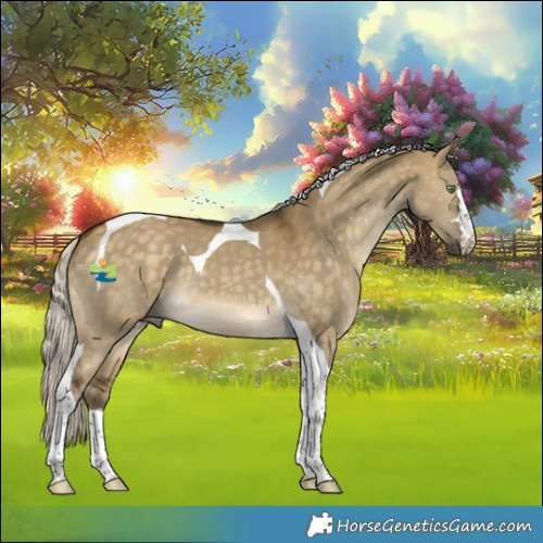 Horse Color:Silver Buckskin Dun Tobiano
