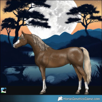 Horse Color:Pseudo Chocolate Palomino Mushroom