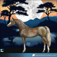 Horse Color:Pseudo Chocolate Palomino Mushroom