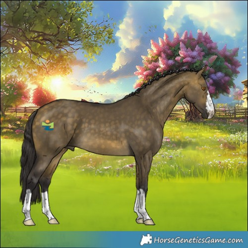 Horse Color:Buckskin Dun