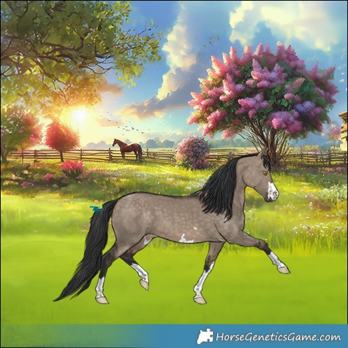 Horse Color:Brown Dun
