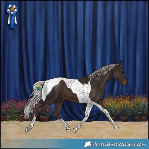 Horse Color:Silver Brown Tobiano 