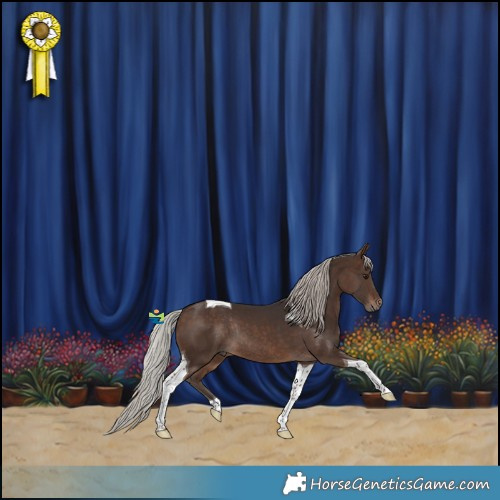Horse Color:Silver Brown Tobiano Rabicano 