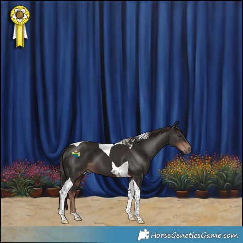Horse Color:Liver Chestnut Tobiano 