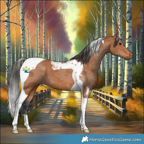Horse Color:Bay Merle Tobiano