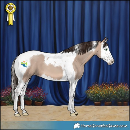 Horse Color:Sable Champagne Dun Splash Tobiano 