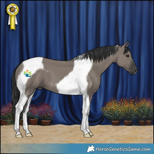 Horse Color:Grullo Tobiano 