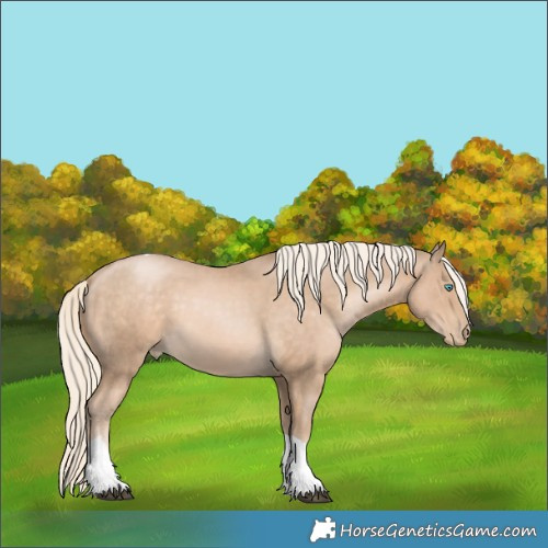 Horse Color:Liver Chestnut Snowdrop Pearl Tobiano 