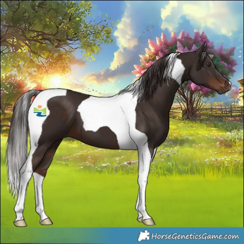 Horse Color:Liver Chestnut Tobiano 