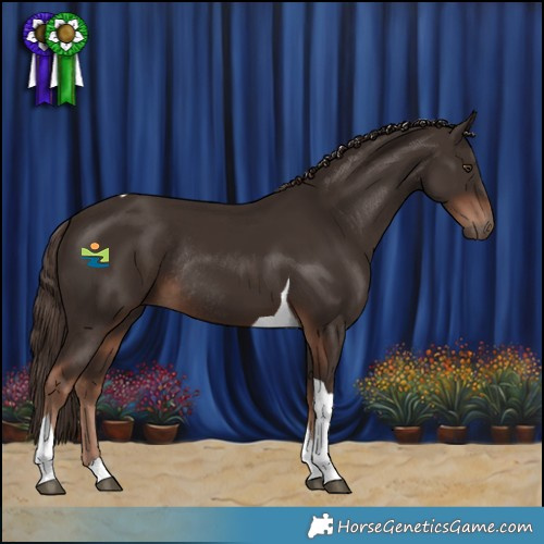Horse Color:Liver Chestnut Tobiano Rabicano