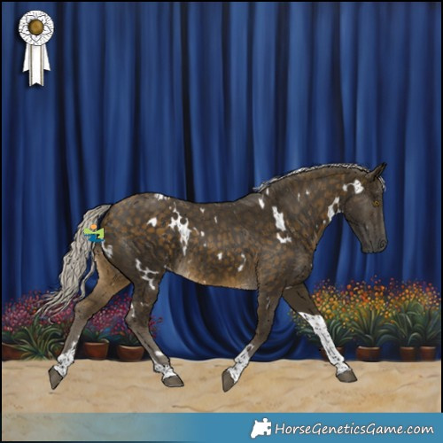 Horse Color:White Spotted Silver Buckskin Tobiano Rabicano 