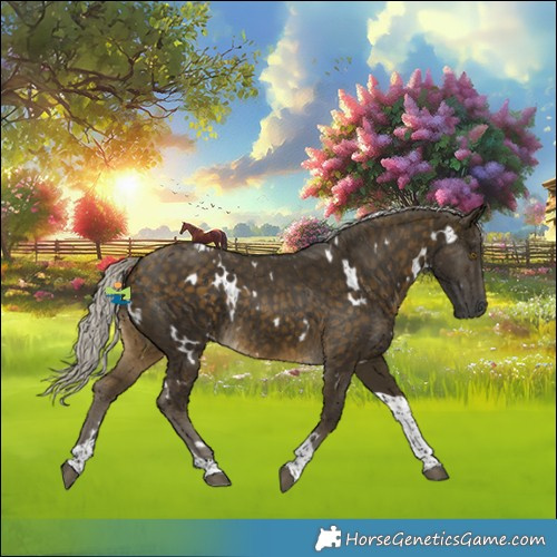 Horse Color:White Spotted Silver Buckskin Tobiano Rabicano 