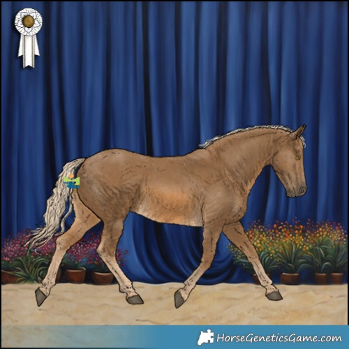 Horse Color:Chocolate Palomino Rabicano