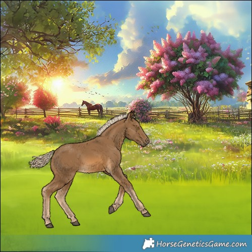 Horse Color:Chocolate Palomino Rabicano 