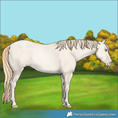 Horse Color:Smoky Grullo Pearl 