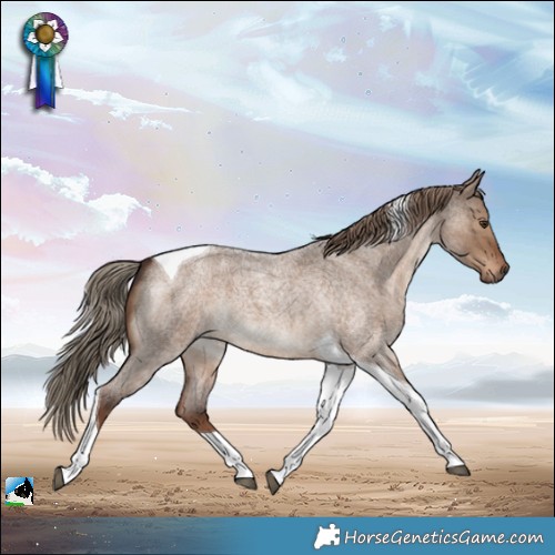 Horse Color:Liver Red Dun Roan Tobiano