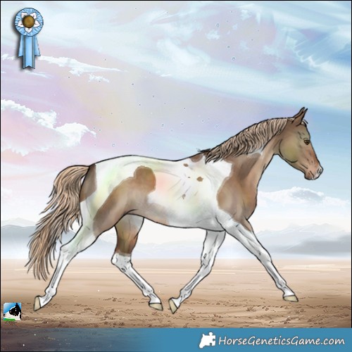 Horse Color:Liver Red Dun Tobiano 