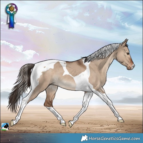 Horse Color:Liver Red Dun Tobiano