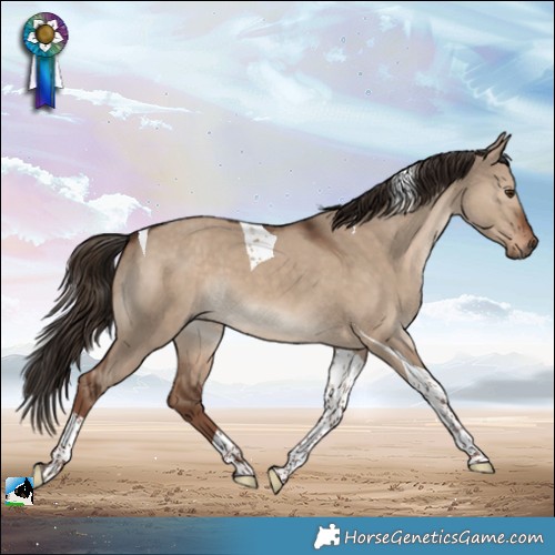 Horse Color:Liver Red Dun Tobiano