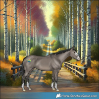 Horse Color:Grullo