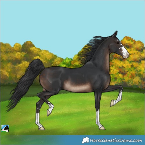 Horse Color:Brown 