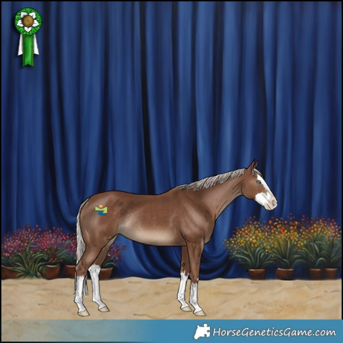 Horse Color:Silver Black Splash Rabicano 