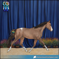 Horse Color:Amber Champagne Varnish Rabicano 