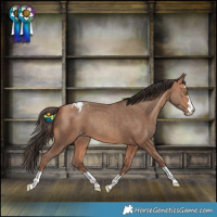 Horse Color:Amber Champagne Varnish Rabicano 