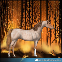 Horse Color:Red Roan Tobiano 
