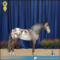 Horse Color:Gray Classic Champagne Blanket 