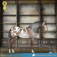 Horse Color:Gray Classic Champagne Blanket 