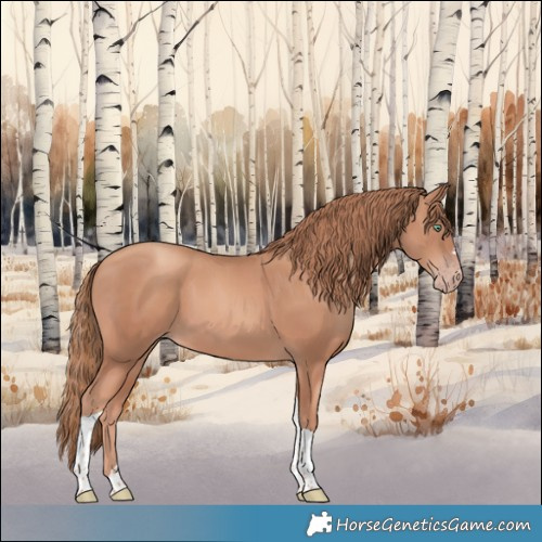 Horse Color:Gold Champagne Tobiano