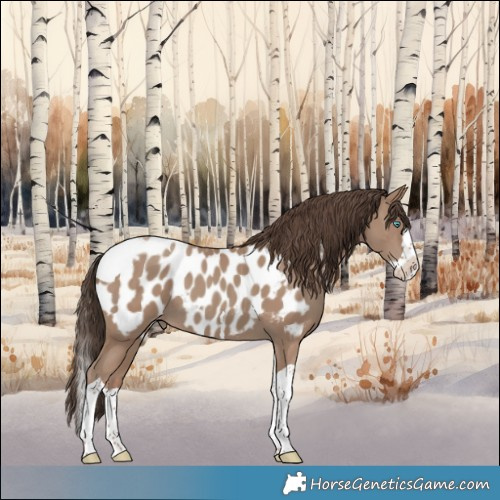 Horse Color:Classic Champagne Splash Tobiano Appaloosa 