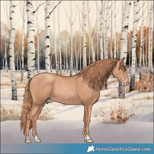 Horse Color:Gold Champagne